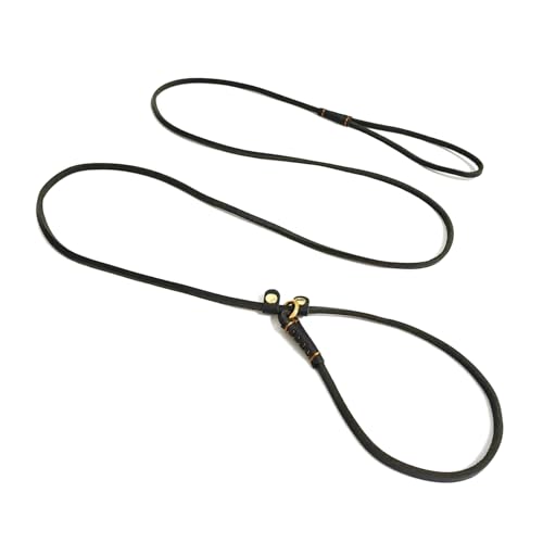 LWBMG Retrieverleine aus echtem Leder, verstellbare Hundetrainingsleine, weiches Echtleder für kleine Hunde, 1,7 m x 0,6 cm, Schwarz von LWBMG