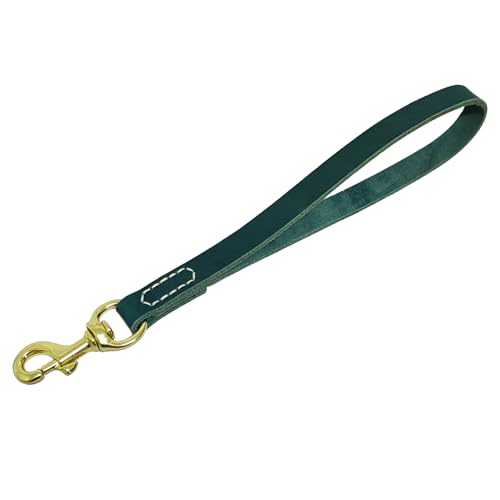 LWBMG Kurze Hundeleine aus Leder, 30,5 cm, kurze Hundeleine, Lederleine für Hunde, robuste Hundeleine für kleine, mittelgroße und große Hunde, Training und Spazierengehen, Blau LWBMG Kurze Hundeleine aus Leder, 30,5 cm, kurze Hundeleine, Lederleine für Hunde, robuste Hundeleine für kleine, mittelgroße und große Hunde, Training und Spazierengehen, Blau von LWBMG