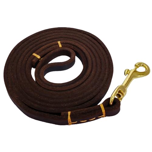 LWBMG Leder-Hundeleine für kleine und mittelgroße Hunde, 1,8 m, weiches Echtleder, Braun von LWBMG