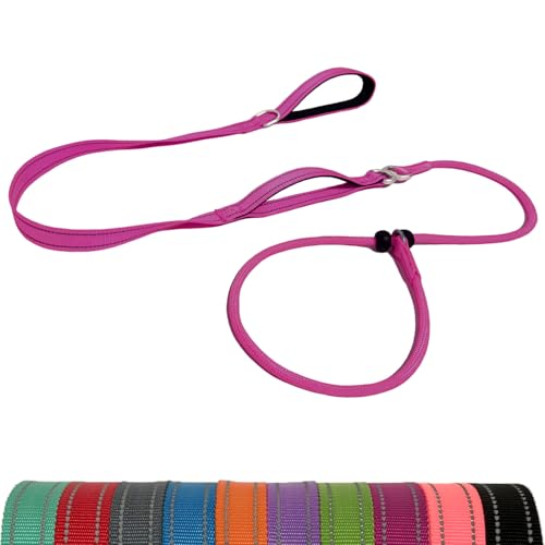 LWBMG Retrieverleine Hundeleine mit Doppelgriff, 1,8 m, robuste Trainingsleine, kein Ziehen, reflektierend, Nylon, für mittelgroße und kleine Hunde, Hot Pink von LWBMG