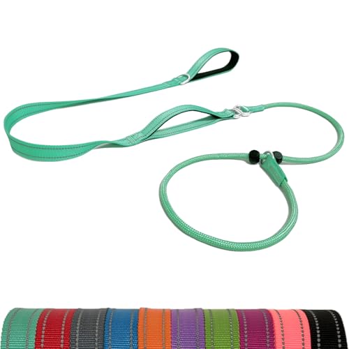 LWBMG Retrieverleine Hundeleine mit Doppelgriff, 1,8 m, robuste Trainingsleine, kein Ziehen, reflektierend, Nylon, für mittelgroße und kleine Hunde, Mintgrün LWBMG Retrieverleine Hundeleine mit Doppelgriff, 1,8 m, robuste Trainingsleine, kein Ziehen, reflektierend, Nylon, für mittelgroße und kleine Hunde, Mintgrün von LWBMG