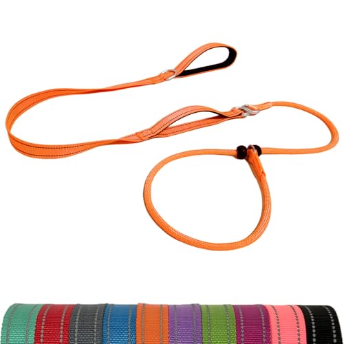 LWBMG Retrieverleine Hundeleine mit Doppelgriff, 1,8 m, robuste Trainingsleine, kein Ziehen, reflektierend, Nylon, für mittelgroße und kleine Hunde, Orange LWBMG Retrieverleine Hundeleine mit Doppelgriff, 1,8 m, robuste Trainingsleine, kein Ziehen, reflektierend, Nylon, für mittelgroße und kleine Hunde, Orange von LWBMG