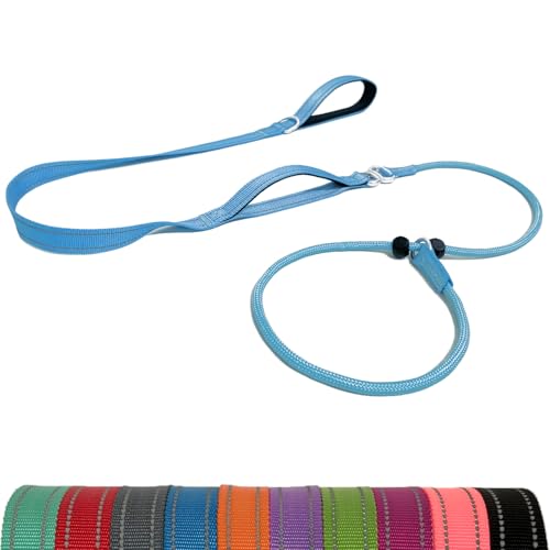 LWBMG Retrieverleine Hundeleine mit doppeltem Griff, 1,8 m, robuste Trainingsleine, kein Ziehen, reflektierend, Nylon, für mittelgroße und kleine Hunde, Blau von LWBMG