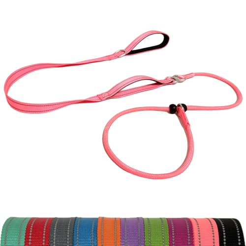 LWBMG Retrieverleine Hundeleine mit doppeltem Griff, 1,8 m, robuste Trainingsleine, kein Ziehen, reflektierend, Nylon, für mittelgroße und kleine Hunde, Rosa LWBMG Retrieverleine Hundeleine mit doppeltem Griff, 1,8 m, robuste Trainingsleine, kein Ziehen, reflektierend, Nylon, für mittelgroße und kleine Hunde, Rosa von LWBMG