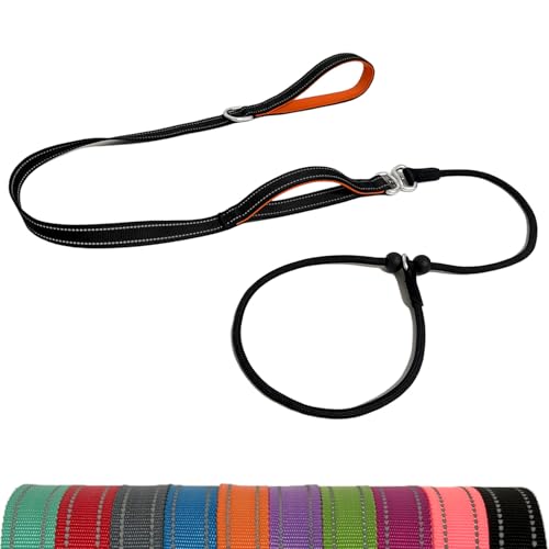 LWBMG Retrieverleine Hundeleine mit doppeltem Griff, 1,8 m, robuste Trainingsleine, kein Ziehen, reflektierend, Nylon, für mittelgroße und kleine Hunde, Schwarz LWBMG Retrieverleine Hundeleine mit doppeltem Griff, 1,8 m, robuste Trainingsleine, kein Ziehen, reflektierend, Nylon, für mittelgroße und kleine Hunde, Schwarz von LWBMG