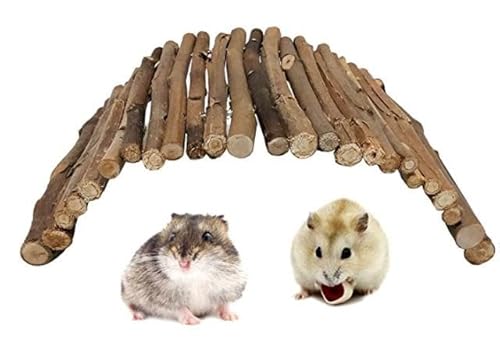 LWINGFLYER Hamsterbrücke Holzleiter Rattenbrücke Spielzeug für Kleintiere Käfig Holzleiter Natürliches Versteck für Meerschweinchen Chinchilla Frettchen Reptilien (10,2 x 22 cm) von LWINGFLYER