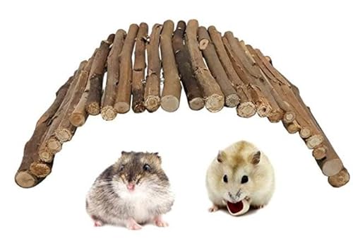 LWINGFLYER Hamsterbrücke Holzleiter Rattenbrücke Spielzeug für Kleintiere Käfig Holzleiter Natürliches Versteck für Meerschweinchen Chinchilla Frettchen Reptilien (10,2 x 22 cm) von LWINGFLYER