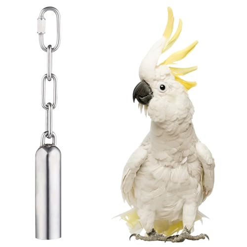 LWINGFLYER Vogelglockenspielzeug aus Edelstahl für große Papageien - Hängendes Vogelkäfigspielzeug mit Quick-Link-Clip, langlebiges und leicht zu reinigendes Papageienspielzeug für Aras, Kakadus LWINGFLYER Vogelglockenspielzeug aus Edelstahl für große Papageien - Hängendes Vogelkäfigspielzeug mit Quick-Link-Clip, langlebiges und leicht zu reinigendes Papageienspielzeug für Aras, Kakadus von LWINGFLYER