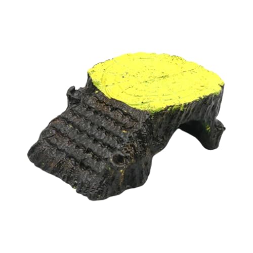 LXJLXD Reptilien Ruheplattform Die Sich Mit Vielseitigen Turtles Habitat Zubehör Amphibien Accessoire Rampen Rampen von LXJLXD