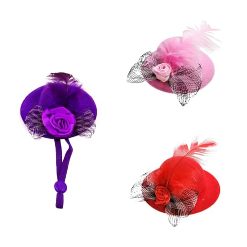 Hühnerhüte für Hühner, kleine Helme für echtes Huhn, Haustier, Huhn, Zylinderhut mit verstellbarem elastischem Kinnriemen, Hühnerzubehör, Halloween, Tierkostüme, Hut für Vögel, Lila, Rot, Rosa, 3 Hühnerhüte für Hühner, kleine Helme für echtes Huhn, Haustier, Huhn, Zylinderhut mit verstellbarem elastischem Kinnriemen, Hühnerzubehör, Halloween, Tierkostüme, Hut für Vögel, Lila, Rot, Rosa, 3 von LXLVOUEG