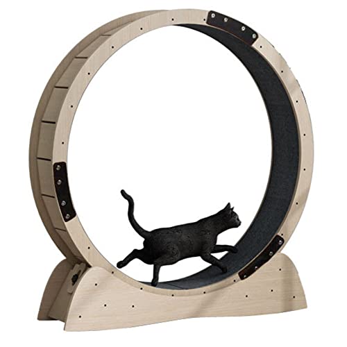 Katzenlaufrad Innenbereich Katzen Sport Übung Fitness Rad - Oberfläche Holzmaserung, Haustier-Spielzeug Laufband Für Katzen Aller Größen, Laufende Spinnerei Spielzeug (Size : 85x40x97cm) von LXLZYXSF