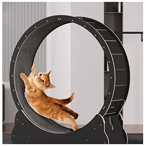 Katzenlaufrad Kätzchen Laufmaschine Laufband Für Katzen Für Indoor-Bewegung, Mit Mute Roller Riemenscheibe, Bremse Abnehmbarer Pistenteppich, Spielzeug Für Haustiere (Color : Black, Size : 90cm/35.4 von LXLZYXSF