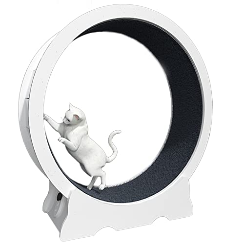 Katzenlaufrad Weiß Katzen-Laufband Mit Verriegelungsmechanik, Laufendes Spinnrad Für Katzen Aller Größen, PVC-Laminat Katzen-Sport-Rad, Haustier-Möbel (Size : 113x36x120cm/44.4x14x47.2in) von LXLZYXSF