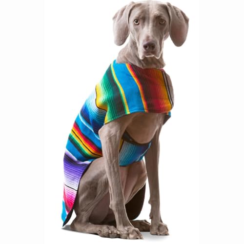 Kleidung Für Haustiere， Niedliche Hundekleidung - Handgemachter Hundeponcho - Tag Der Toten Halloween Haustier Umhang Kostüm Aus Mexikanischer Decke-Die Farben Werden Zufällig Verteilt (Color : Rainb von LXWLXDF