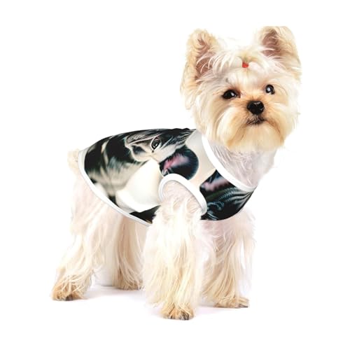 Entzückendes Hunde-Shirt mit französischer Bulldogge, für kleine Rassen wie Chihuahuas, Yorkies und Welpen Entzückendes Hunde-Shirt mit französischer Bulldogge, für kleine Rassen wie Chihuahuas, Yorkies und Welpen von LXqlSS