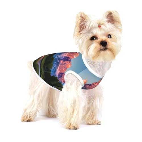 Grand Teton Hundeshirt mit Nationalpark-Aufdruck, für kleine Rassen wie Chihuahuas, Yorkies und Welpen Grand Teton Hundeshirt mit Nationalpark-Aufdruck, für kleine Rassen wie Chihuahuas, Yorkies und Welpen von LXqlSS