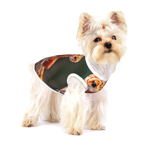 Hunde-Shirt, Weste für kleine Rassen wie Chihuahuas, Yorkshire Terrier, Welpen und Welpen Hunde-Shirt, Weste für kleine Rassen wie Chihuahuas, Yorkshire Terrier, Welpen und Welpen von LXqlSS