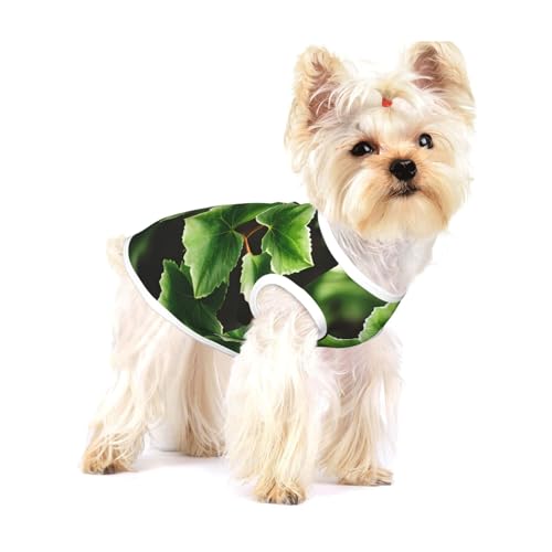 Hunde-Shirt, Weste für kleine Rassen wie Chihuahuas, Yorkshire Terrier, Welpen und Welpen Hunde-Shirt, Weste für kleine Rassen wie Chihuahuas, Yorkshire Terrier, Welpen und Welpen von LXqlSS