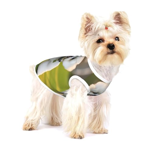 Hunde-Shirt mit Bichon-Frisé-Motiv auf dem Gras, für kleine Rassen wie Chihuahuas, Yorkies und Welpen Hunde-Shirt mit Bichon-Frisé-Motiv auf dem Gras, für kleine Rassen wie Chihuahuas, Yorkies und Welpen von LXqlSS