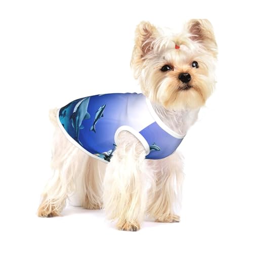 Hunde-Shirt mit Haifisch-Motiv, für kleine Rassen wie Chihuahuas, Yorkies und Welpen Hunde-Shirt mit Haifisch-Motiv, für kleine Rassen wie Chihuahuas, Yorkies und Welpen von LXqlSS