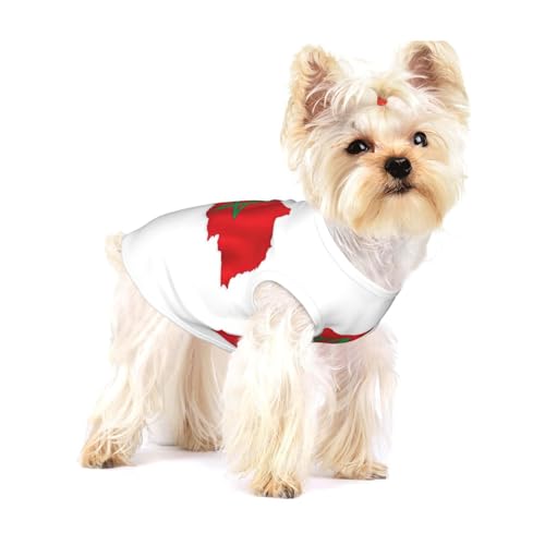 Hundehemd mit Marokko-Flagge, für kleine Rassen wie Chihuahuas, Yorkies und Welpen Hundehemd mit Marokko-Flagge, für kleine Rassen wie Chihuahuas, Yorkies und Welpen von LXqlSS