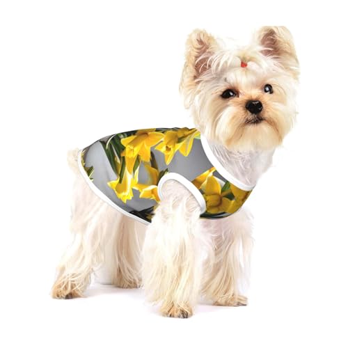 Hundehemd mit Narzissen-Motiv, für kleine Rassen wie Chihuahuas, Yorkies und Welpen Hundehemd mit Narzissen-Motiv, für kleine Rassen wie Chihuahuas, Yorkies und Welpen von LXqlSS