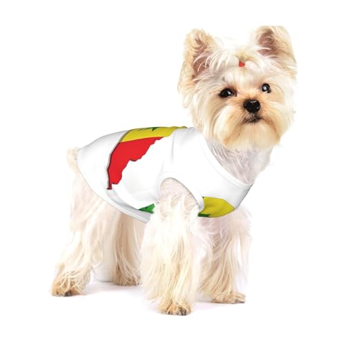 Hundehemd mit Senegal-Flagge, für kleine Rassen wie Chihuahuas, Yorkies und Welpen von LXqlSS