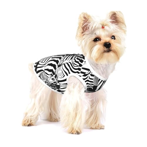 Hundehemd mit Zebramuster, Weste für kleine Rassen wie Chihuahuas, Yorkies und Welpen Hundehemd mit Zebramuster, Weste für kleine Rassen wie Chihuahuas, Yorkies und Welpen von LXqlSS