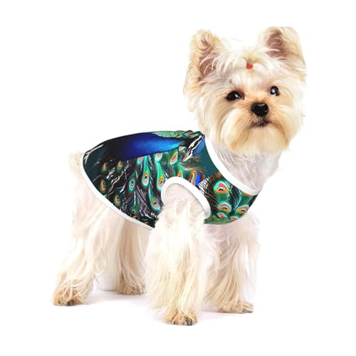 Schönes Hundehemd mit Pfauenmuster, für kleine Rassen wie Chihuahuas, Yorkies und Welpen Schönes Hundehemd mit Pfauenmuster, für kleine Rassen wie Chihuahuas, Yorkies und Welpen von LXqlSS