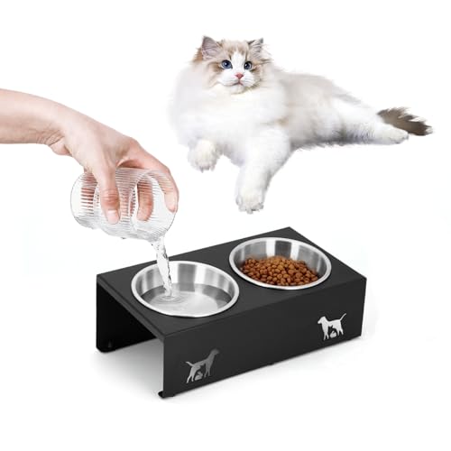 LYCC Erhöhter Futternapf für Katzen, um 15 ° geneigter Ständer, Anti-Erbrechen, erhöhter Katzennapf für Futter und Wasser, 2 Edelstahlnäpfe, rutschfest, kein Verschütten, Katzen und Welpen LYCC Erhöhter Futternapf für Katzen, um 15 ° geneigter Ständer, Anti-Erbrechen, erhöhter Katzennapf für Futter und Wasser, 2 Edelstahlnäpfe, rutschfest, kein Verschütten, Katzen und Welpen von LYCC