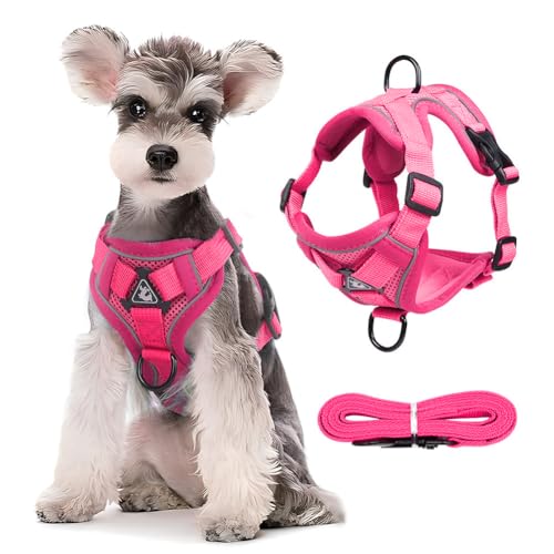 LYEAA Atmungsaktives Katzengeschirr und Leine, ausbruchsicheres Set für Kätzchen und kleine Hunde, Haustier-Leine von LYEAA