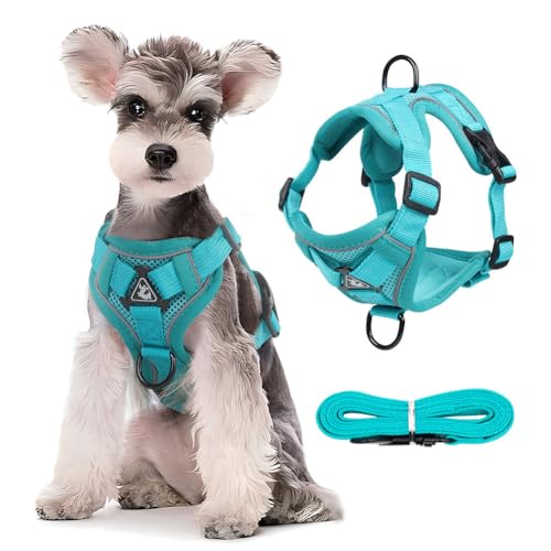 LYEAA Atmungsaktives Katzengeschirr und Leine, ausbruchsicheres Set für Kätzchen und kleine Hunde, Haustier-Leine von LYEAA