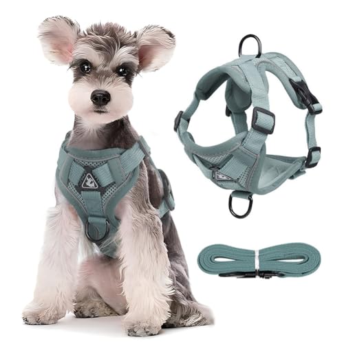 LYEAA Atmungsaktives Katzengeschirr und Leine, ausbruchsicheres Set für Kätzchen und kleine Hunde, Haustier-Leine von LYEAA