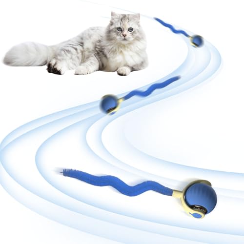 LYEAA Interaktiver Katzenball, automatischer Rollball für Indoor-Katzen, Orange von LYEAA