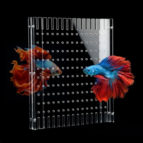 Anpassungen Aquarium-Trennwand, transparent, 4,5 l Aquarium-Trennwand mit Saugnäpfen, Zubehör Anpassungen Aquarium-Trennwand, transparent, 4,5 l Aquarium-Trennwand mit Saugnäpfen, Zubehör von LYL LEYOULAND