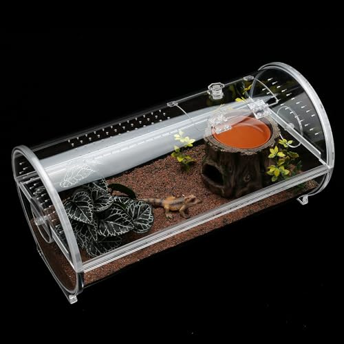 Reptilien-Terrarium, Einsiedlerkrabben-Tank, Vogelspinne, 50,3 x 25,4 x 25,4 cm, Acryl-Käfig für Leoparden, Geckos, Insekten, Amphibien, Schnecken, Skorpion, Mantis Reptilien-Terrarium, Einsiedlerkrabben-Tank, Vogelspinne, 50,3 x 25,4 x 25,4 cm, Acryl-Käfig für Leoparden, Geckos, Insekten, Amphibien, Schnecken, Skorpion, Mantis von LYL LEYOULAND