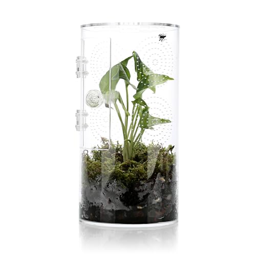 Springspinnengehege, 29,2 x 15,2 x 15,2 cm, Luftloch, 1,9 cm Mikro-Habitat-Terrarien, Arboreal Reptilien-Tank mit Tür vorne, Vogelspinnen-Gehege, Pflanzen-Gewächshaus Springspinnengehege, 29,2 x 15,2 x 15,2 cm, Luftloch, 1,9 cm Mikro-Habitat-Terrarien, Arboreal Reptilien-Tank mit Tür vorne, Vogelspinnen-Gehege, Pflanzen-Gewächshaus von LYL LEYOULAND