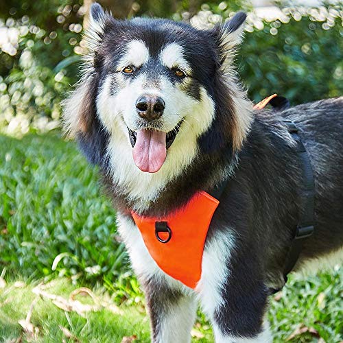 Bequemes Hundegeschirr mit stabilem Griff für große, mittelgroße und kleine Hunde (Farbe: Orange, Größe: L) von LYLY
