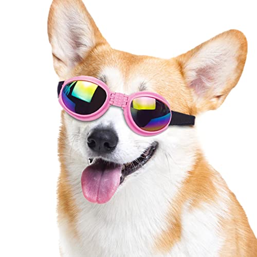 Hundebrille – Katzenbrille, UV-Schutz, Hundesonnenbrille mit verstellbarem Riemen, Augenschutzbrille für Hunde, Hunde, Welpen, Sonnenbrille, Hund, Lynsay von LYNSAY