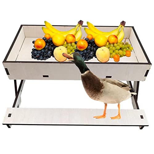 LYNSAY Picknicktisch für Hühner, Picknick-Futterstation für Huhn, leicht zu reinigen, für Huhn, Vogel, Eichhörnchen, Kaninchen, Enten, Haustiere von LYNSAY
