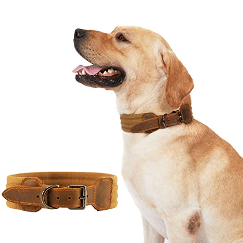 Strapazierfähiges Hundehalsband | verstellbares Haustier-Trainingshalsband – sicheres Halsband mit Schnalle aus Legierung für Spaziergänge, Laufen, Rucksackreisen, Camping, Wandern, Training Lynsay von LYNSAY