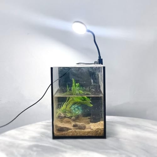 LYPHARD AQUARIUMS Mini-Aquarium-Set für Garnelen, Schnecken, bepflanztes Aquarium, 3,2 l, kleines Desktop-Fischbecken für kleine Wassertiere für Anfänger von LYPHARD AQUARIUMS