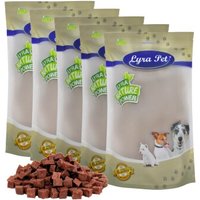 Lyra Pet Lammfleischwürfel 5 kg Lyra Pet Lammfleischwürfel 5 kg von LYRA PET