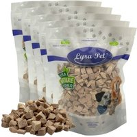 Lyra Pet Lyra Entenbrustwürfel gefriergetrocknet 1 kg von LYRA PET