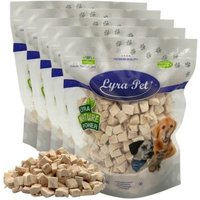 Lyra Pet Lyra Hühnerbrustwürfel gefriergetrocknet 1 kg von LYRA PET