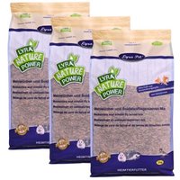 Lyra Pet Mehlwürmer-/Soldatenfliegenlarven-Mix 15 kg Lyra Pet Mehlwürmer-/Soldatenfliegenlarven-Mix 15 kg von LYRA PET