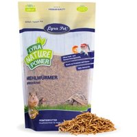 Lyra Pet Mehlwürmer getrocknet 3x1,65 kg von LYRA PET