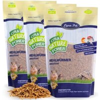 Lyra Pet Mehlwürmer getrocknet 3x1 kg von LYRA PET