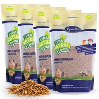 Lyra Pet Mehlwürmer getrocknet 4x1 kg Lyra Pet Mehlwürmer getrocknet 4x1 kg von LYRA PET