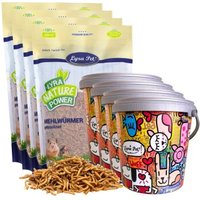 Lyra Pet Mehlwürmer im Design Eimer 4x7,81 kg von LYRA PET